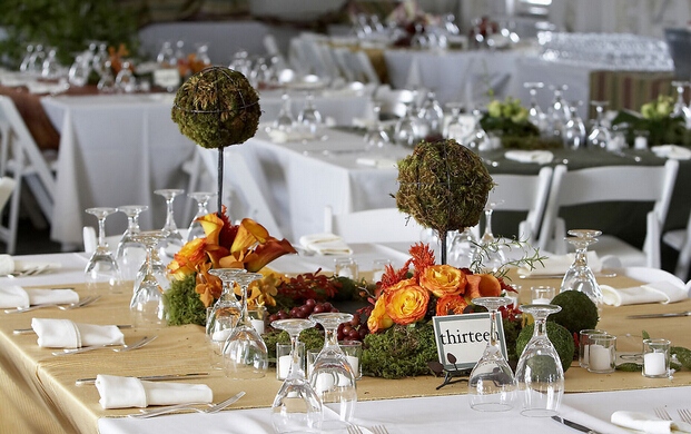 1450510264321279.jpg 564c326e7c91f_800x600.jpg