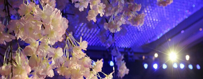 1618526595183213.jpg 5643ffbf999ef_800x600.jpg