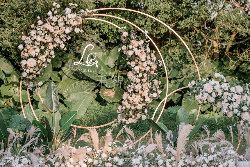 1645225782530491.jpg 516.jpg