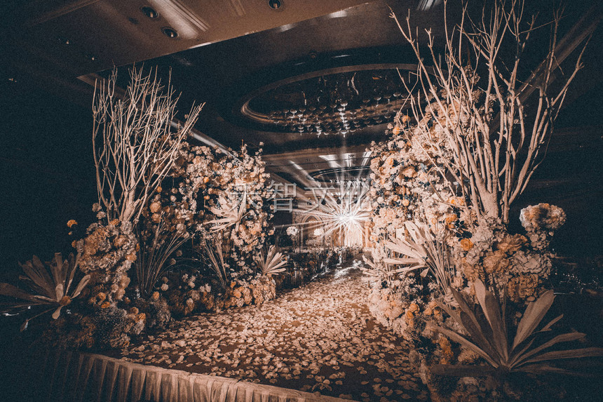 1662155359754830.jpg 815.jpg