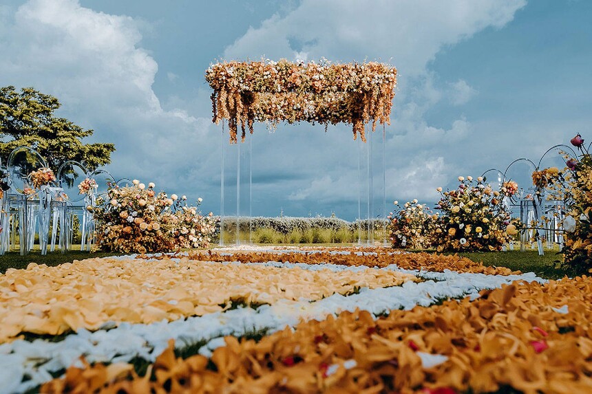 1736291588612368.jpg 231.jpg