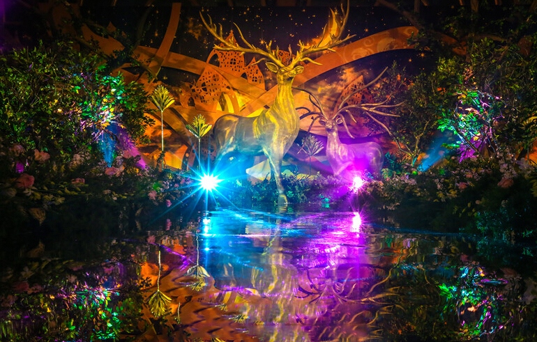 1543279289577579.jpg 556679e22fb85_800x600.jpg